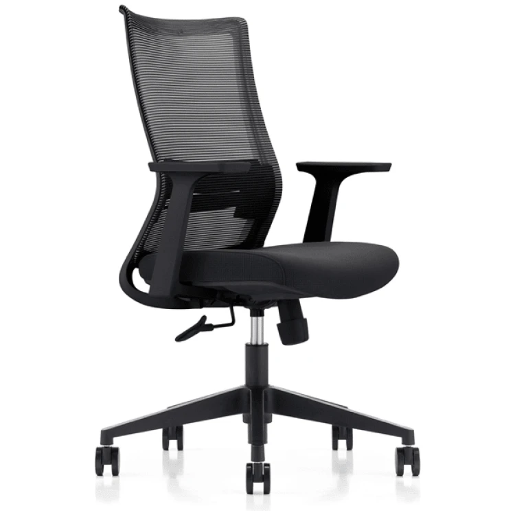 LDR ErgoLite Max Ergonomic Office/Gaming Chair (Black)