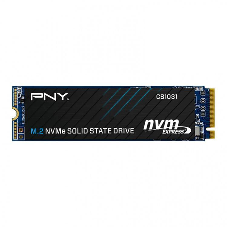 256GB M.2 NVMe SSD (PNY CS1031)