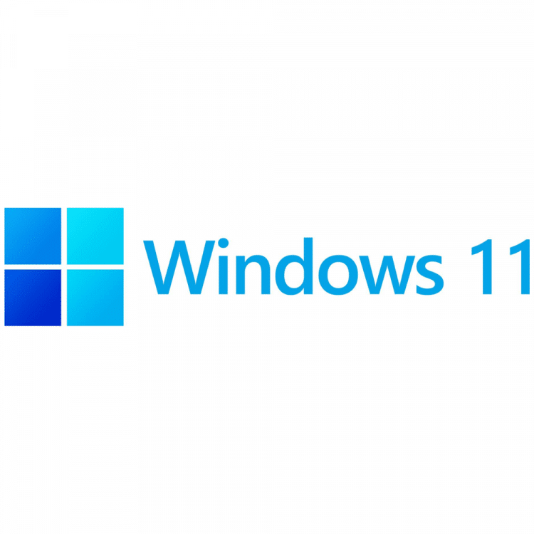 Windows 11 Pro OEM DVD Pack