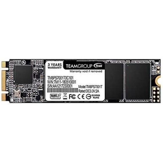 256GB M.2 SATA SSD (Team MS30)
