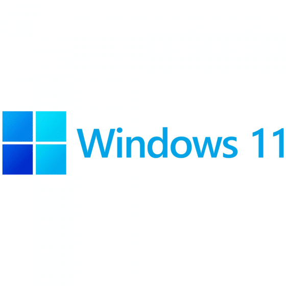 Windows 11 Home OEM DVD Pack