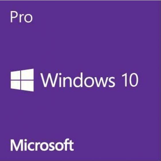 Windows 10 Pro (Included)